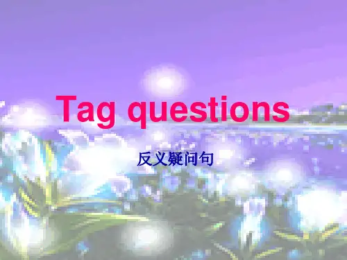 英语反义疑问句加练习