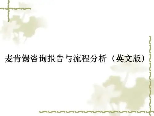麦肯锡咨询报告与流程分析(英文版)