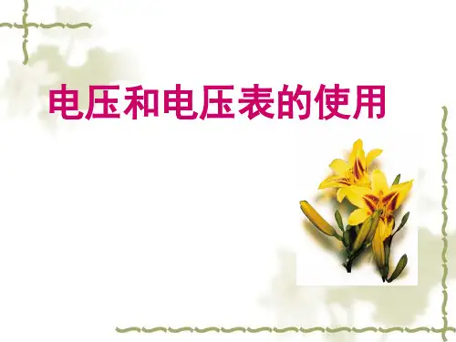 电压和电压表的使用