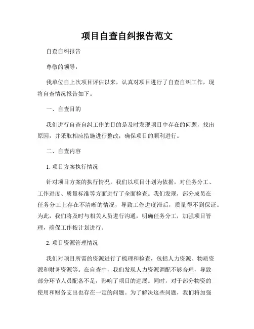 项目自查自纠报告范文
