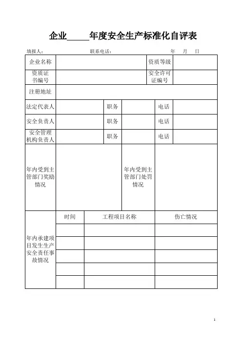 企业     年度安全生产标准化自评表