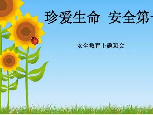 “珍爱生命_安全第一”小学校园安全教育课件(1)