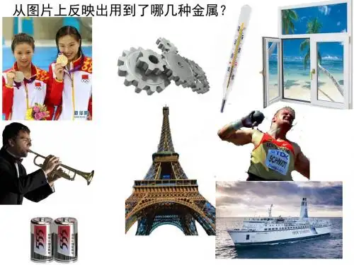 3.1金属的化学性质