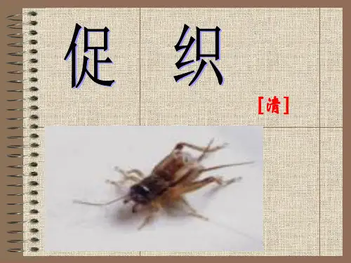 促织文言知识梳理 ppt课件