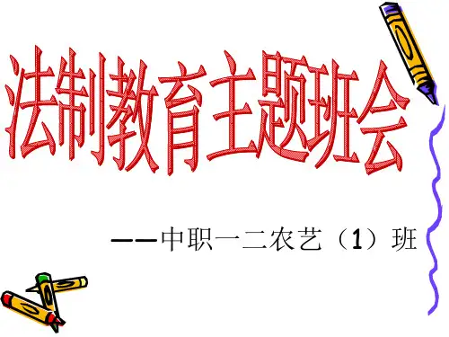 法制教育主题班会PPT课件