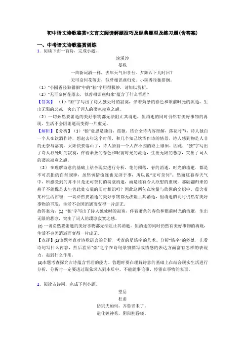 初中语文诗歌鉴赏+文言文阅读解题技巧及经典题型及练习题(含答案)