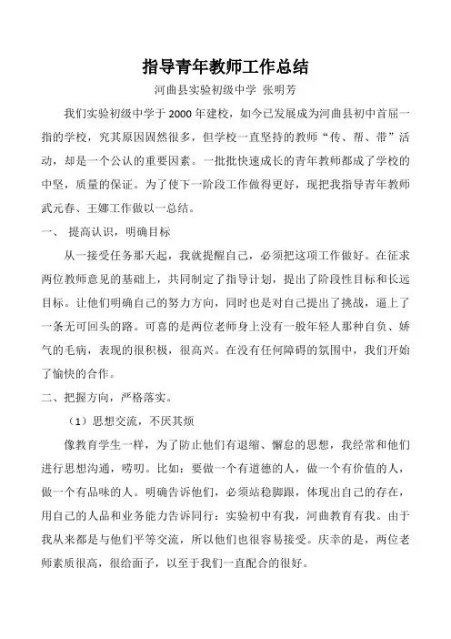 指导青年教师工作总结 2