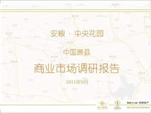 萧县市调(2003版)