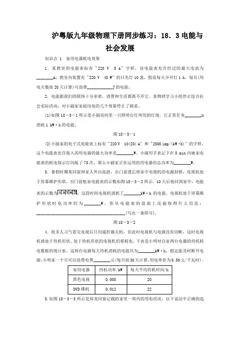 沪粤版九年级物理下册同步练习：18.3电能与社会发展