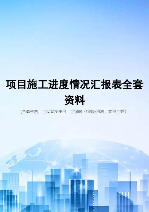 项目施工进度情况汇报表全套资料