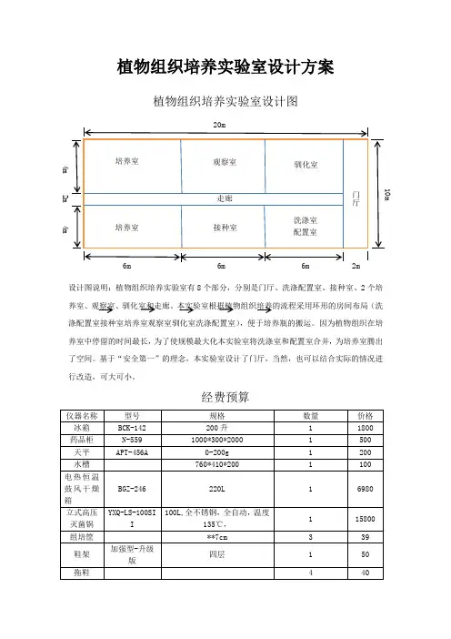 植物组织培养实验室设计方案