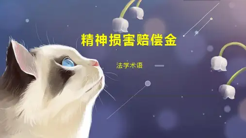 精神损害赔偿金