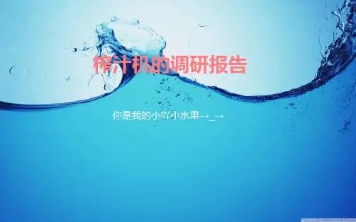 榨汁机的调研报告