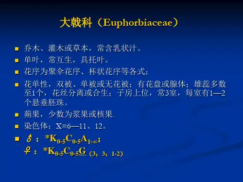 植物学 大戟科