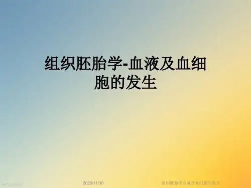 组织胚胎学血液及血细胞的发生