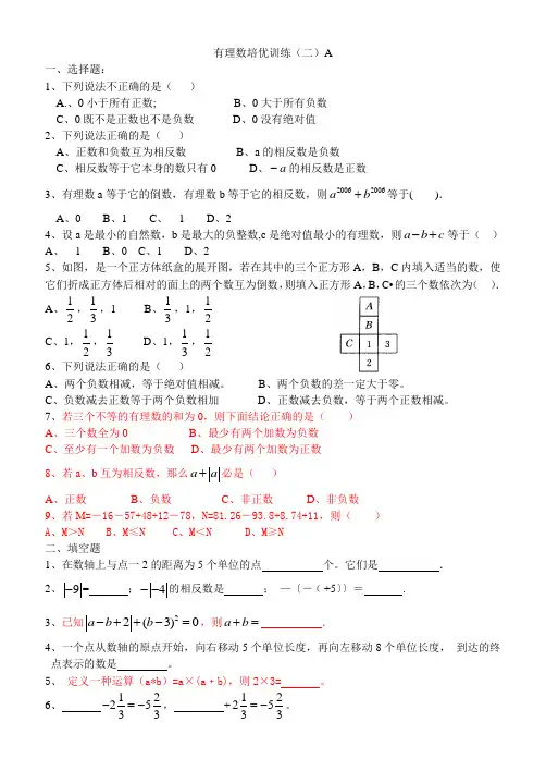 有理数培优训练(二)A