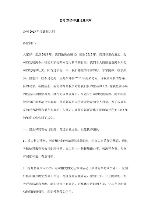 公司2013年度计划大纲