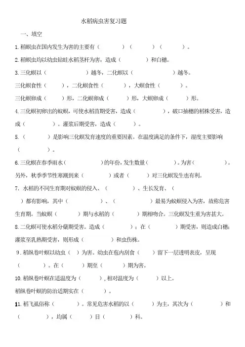 植物保护技术水稻重点