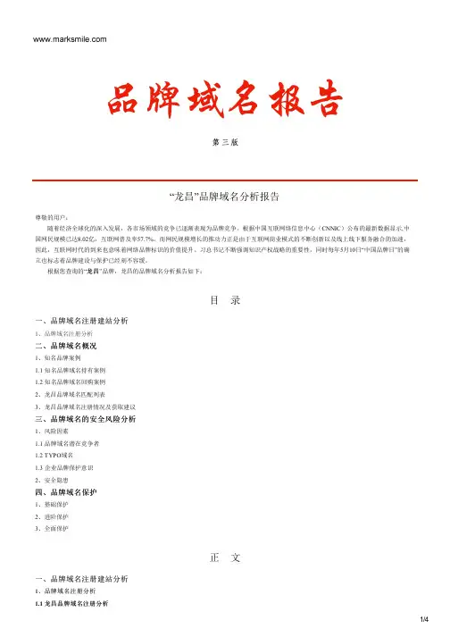 龙昌的品牌域名分析报告