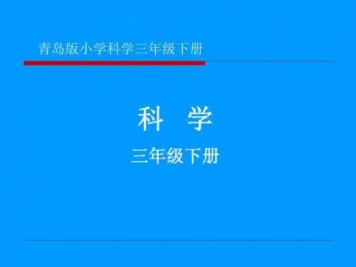 青岛版小学科学三年级下册《蚂蚁》课件