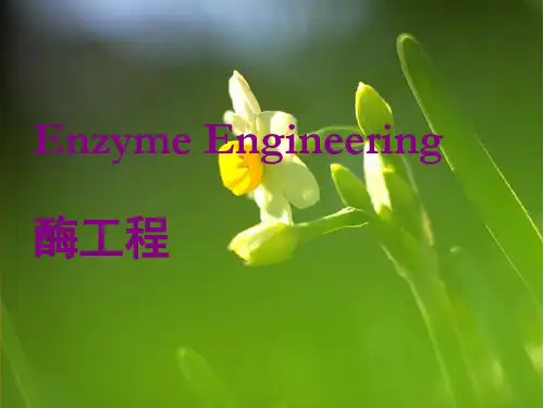 酶的抑制动力学