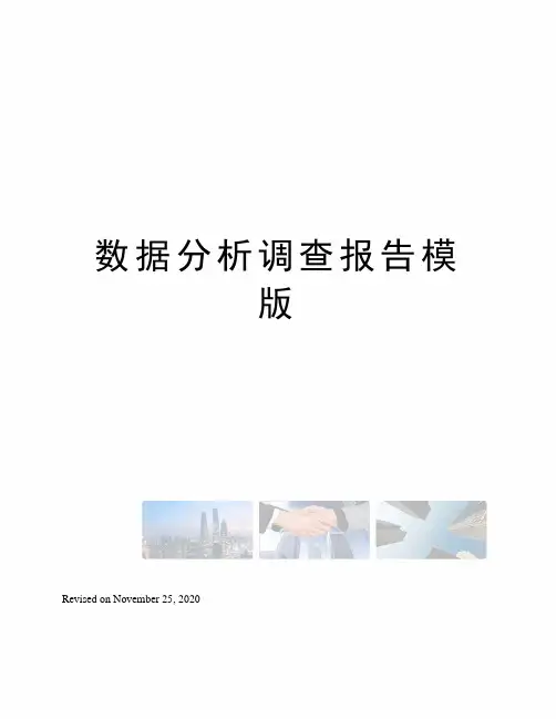 数据分析调查报告模版