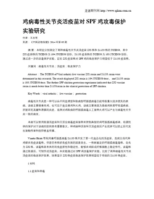 鸡病毒性关节炎活疫苗对SPF鸡攻毒保护实验研究