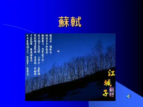 苏轼生平(一)