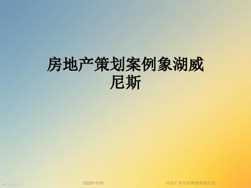 房地产策划案例象湖威尼斯