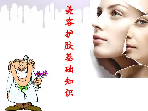 美容护肤基础知识二