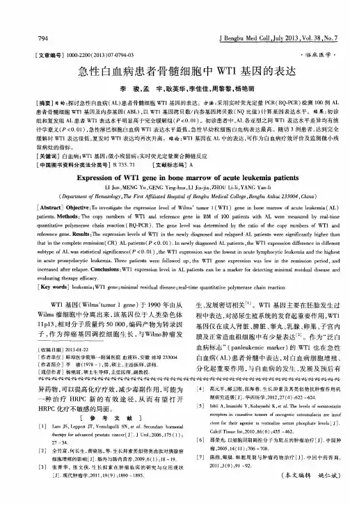 急性白血病患者骨髓细胞中WT1基因的表达