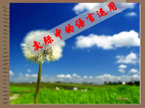 交际中的语言运用(整合)