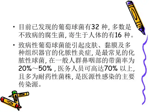 耐甲氧西林金黄色葡萄球菌(MRSA)