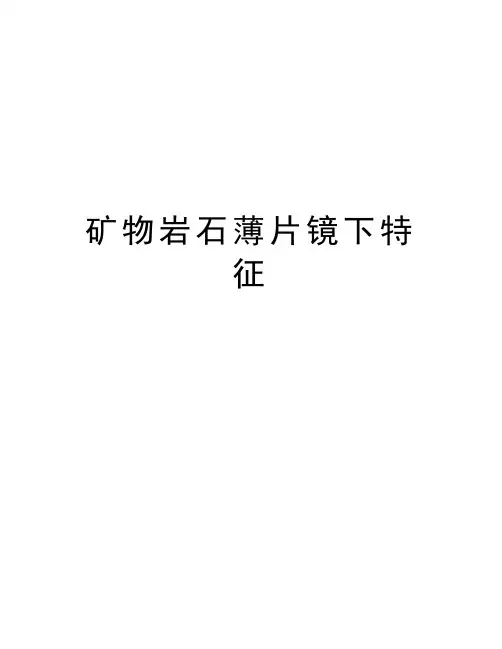 矿物岩石薄片镜下特征教学文案