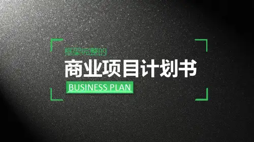 融资路演商业计划书PPT模板下载 (29)