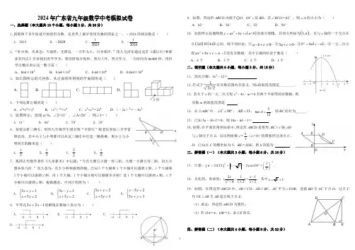 2024年广东省九年级数学中考模拟试卷