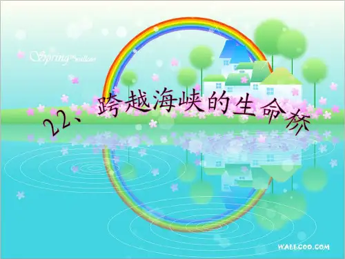 跨越海峡的生命桥(完整版)解析