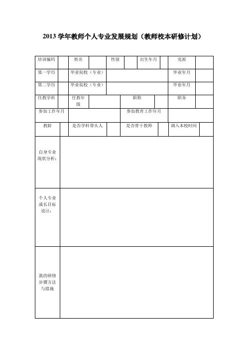 2013学年教师个人专业发展规划