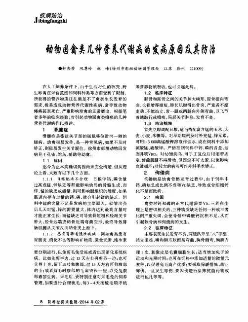 动物园禽类几种营养代谢病的发病原因及其防治