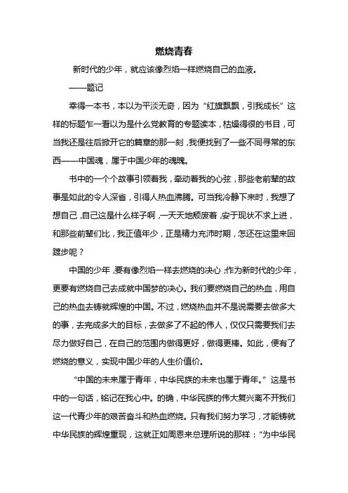 初三作文：燃烧青春作文800字