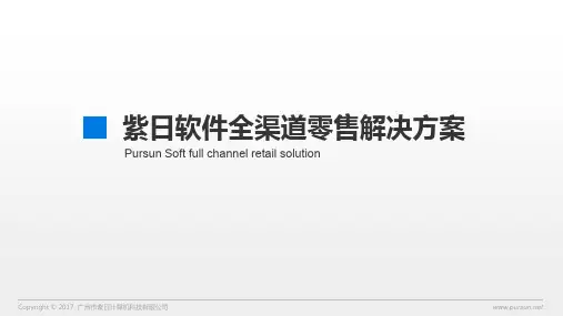 紫日全渠道零售解决方案