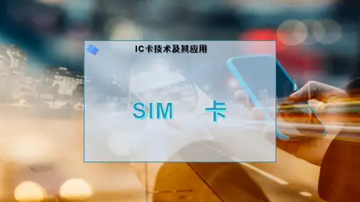 SIM----卡