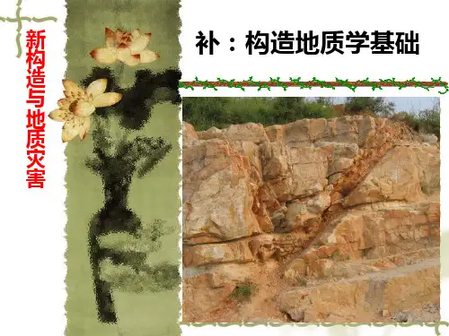 构造地质学基础