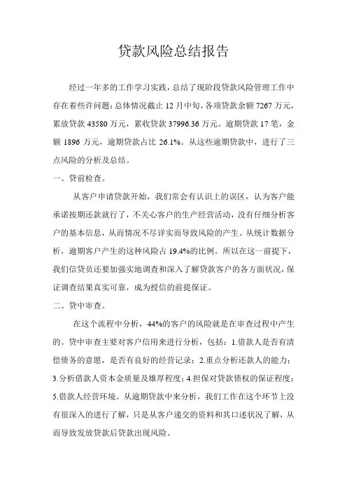 贷款风险总结报告