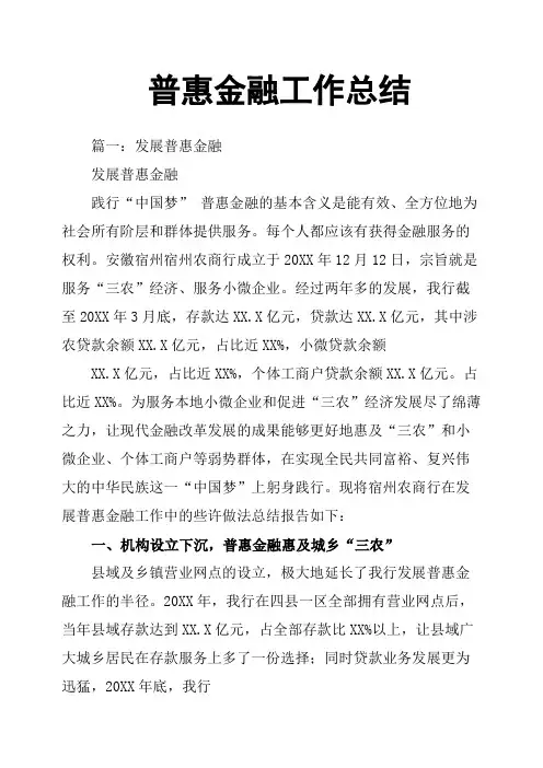 普惠金融工作总结