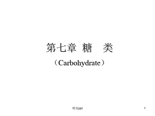 《糖类分解代谢》PPT课件