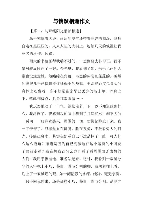 与悄然相逢作文