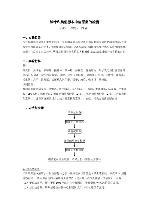 微生物实验报告 2
