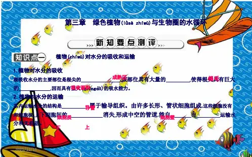 七年级生物上册 第三单元 第三章《绿色植物与生物圈的水循环》复习