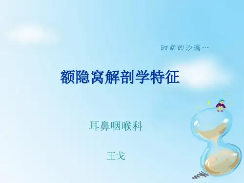 额隐窝解剖学特征讲解